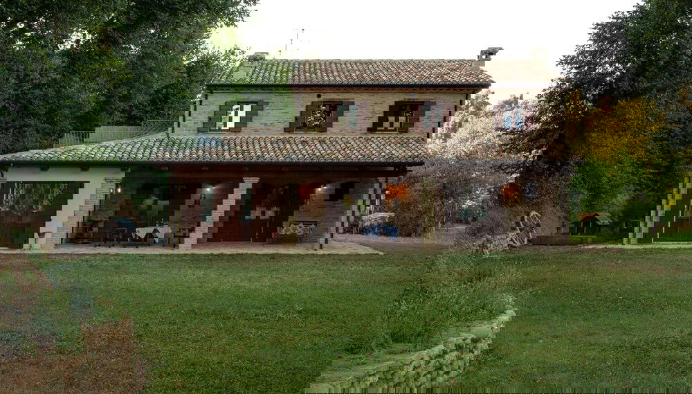 Image principale