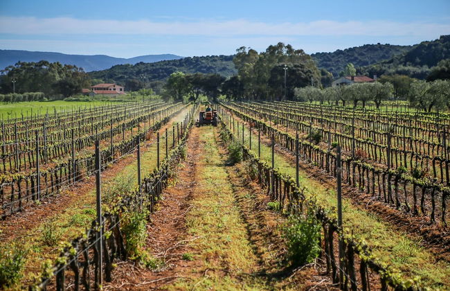 Agriturismo Monte Argentario - Foto 48