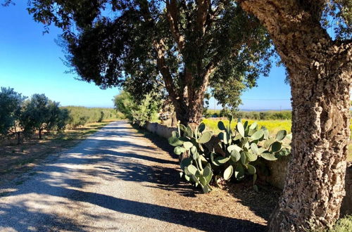 Foto 71 - Agriturismo Monte Argentario