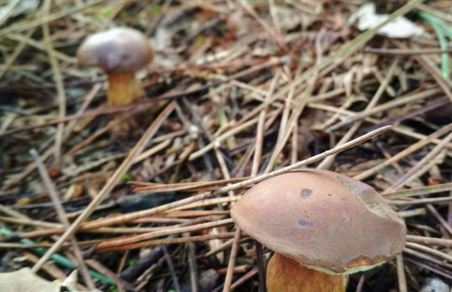 Casa de Verdes - In Cabana de Bergantinos - Foto 131