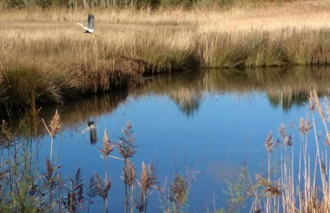 Casa de Verdes - In Cabana de Bergantinos - Foto 103