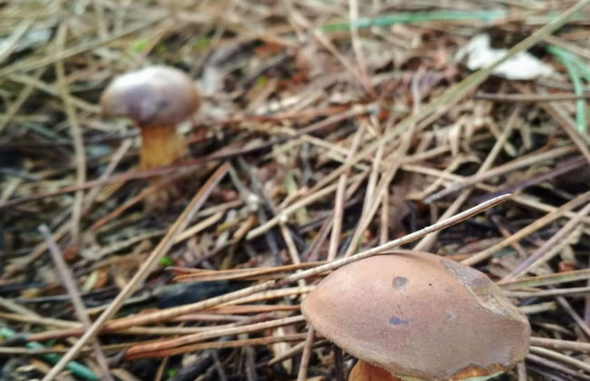 Casa de Verdes - In Cabana de Bergantinos - Foto 67