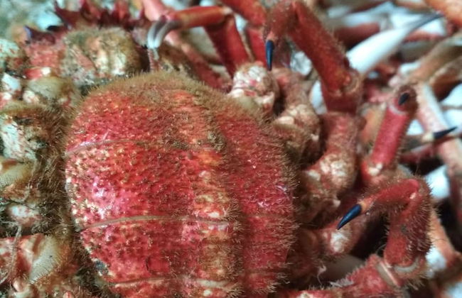 Casa de Verdes - In Cabana de Bergantinos - Foto 41