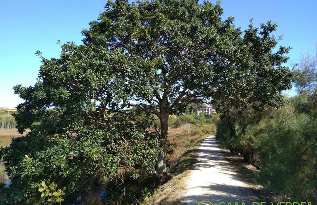 Casa de Verdes - In Cabana de Bergantinos - Foto 149