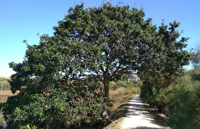 Casa de Verdes - In Cabana de Bergantinos - Foto 65