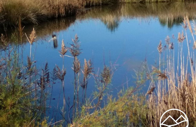 Casa de Verdes - In Cabana de Bergantinos - Foto 137