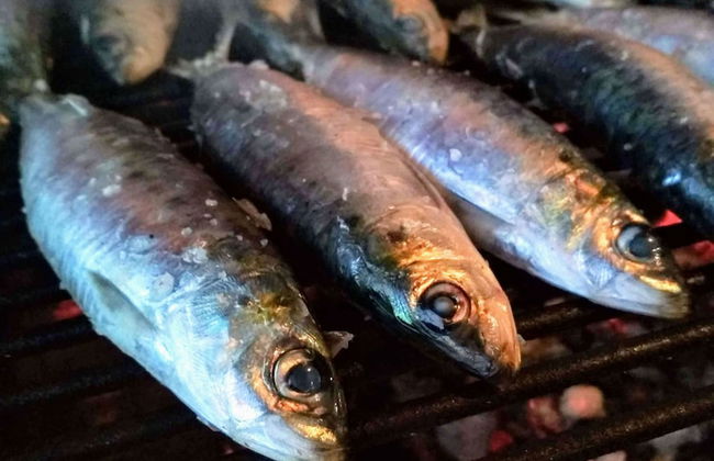 Casa de Verdes - In Cabana de Bergantinos - Foto 101