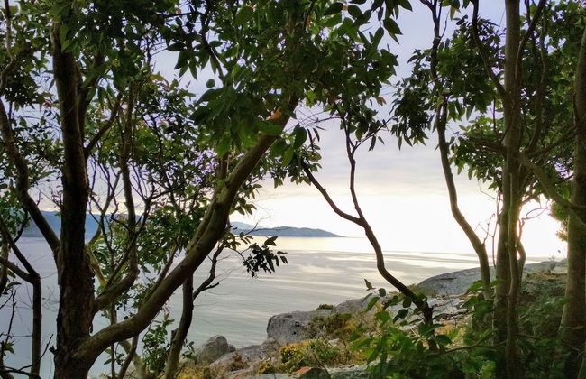 Casa de Verdes - In Cabana de Bergantinos - Foto 85