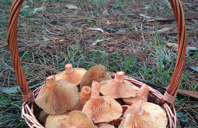 Casa de Verdes - In Cabana de Bergantinos - Foto 135