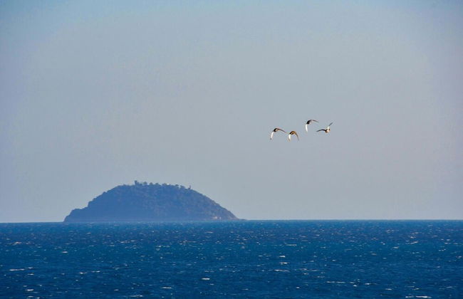 Vela D'oro - Foto 19