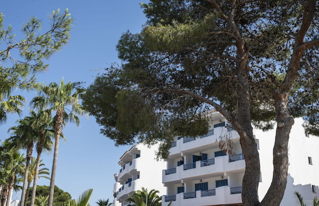 Aparhotel Pierre & Vacances Mallorca Cecilia - Foto 79
