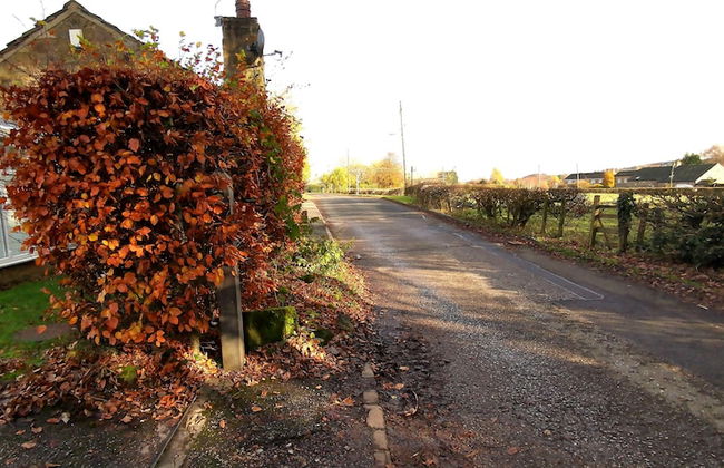 Country School Cottage near Harwood - Foto 18