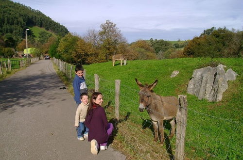 Photo 20 - Los Acebos de Peña Cabarga