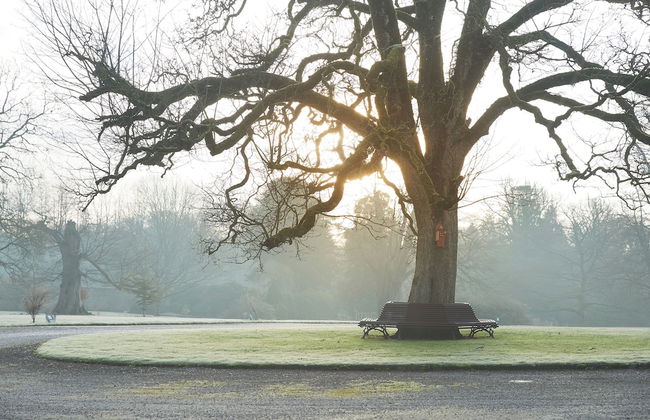 Spacious 2 Bedroom Apartment Surrounded with 36 Acres of Parkland - Foto 7