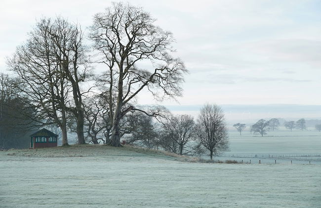 Spacious 2 Bedroom Apartment Surrounded with 36 Acres of Parkland - Foto 8