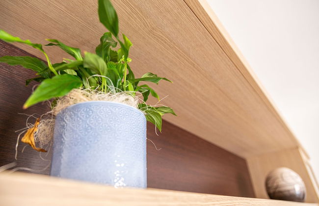 Casa Goloritzè - Photo 14