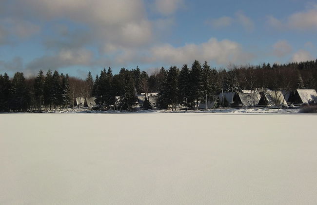 Waldsee Feriendienst - Foto 28