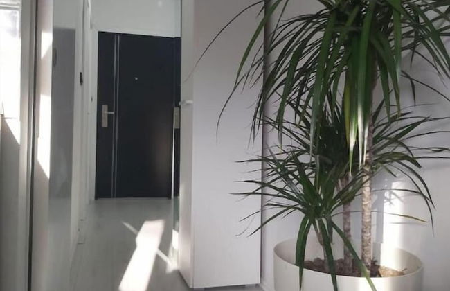 Mario - 5 Minutes to the Beach - A1 - Foto 13