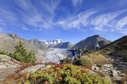 Photo 23 - Sternschnuppe OG