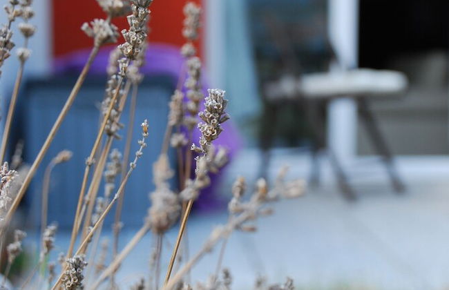 A nice place to stay - Photo 9