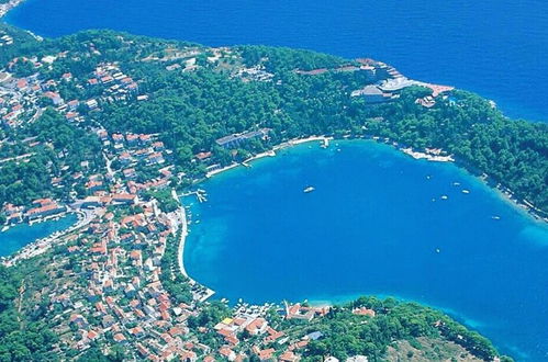 Photo 33 - Luxury House Anita in old Town Cavtat-beachfront