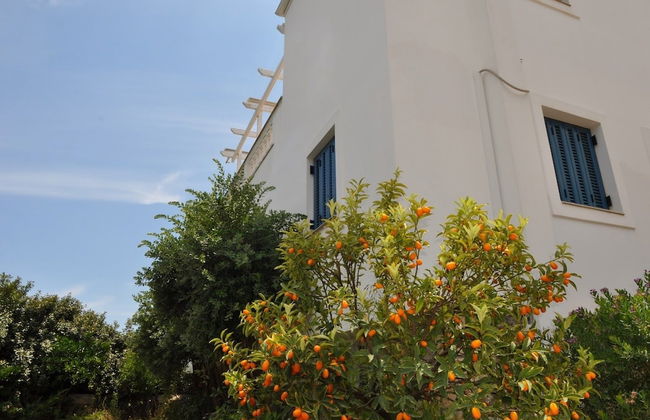 Villa Kyma - Foto 42