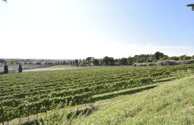Country House Le Palazzole - Foto 24