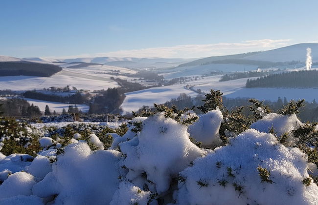 Linn of Avon Holiday Cottages - Photo 18