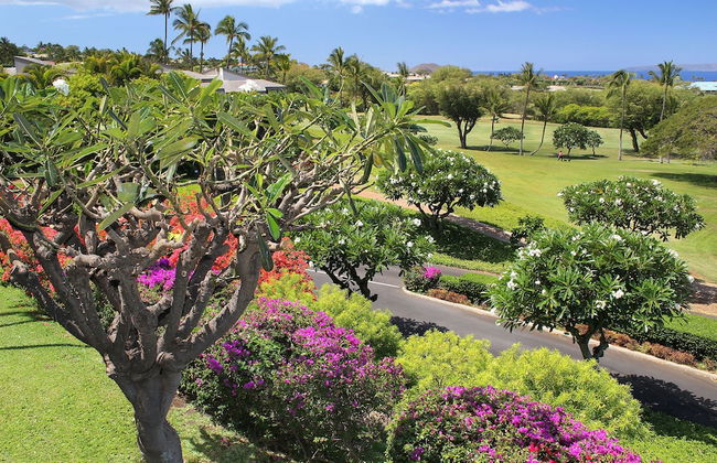Wailea Ekolu - CoralTree Residence Collection - Foto 56