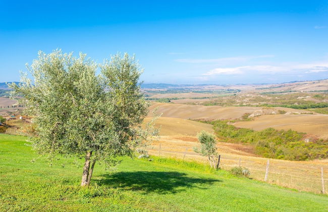Villa Podere Belvedere Large Private Pool Sea Views Wifi - 3281 - Foto 52