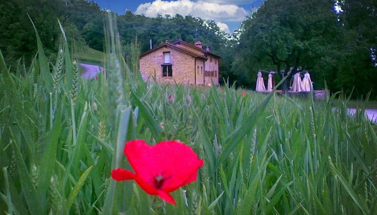 Photo 1 - La Cartiera dei Benandanti