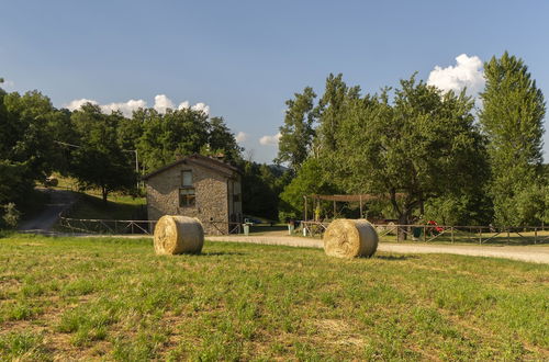 Photo 50 - La Cartiera dei Benandanti