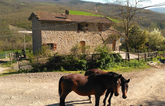 La Cartiera dei Benandanti - Foto 22