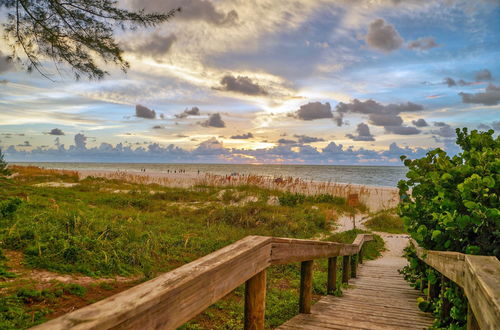 Photo 52 - Haley's at The Anna Maria Island Inn