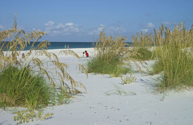 Haley's at The Anna Maria Island Inn - Foto 13