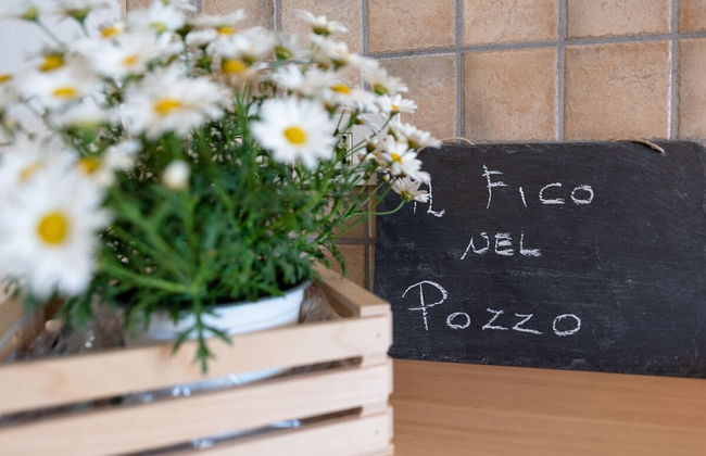 Il Fico nel Pozzo in Fossacesia - Foto 25