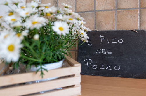 Photo 25 - Il Fico nel Pozzo in Fossacesia