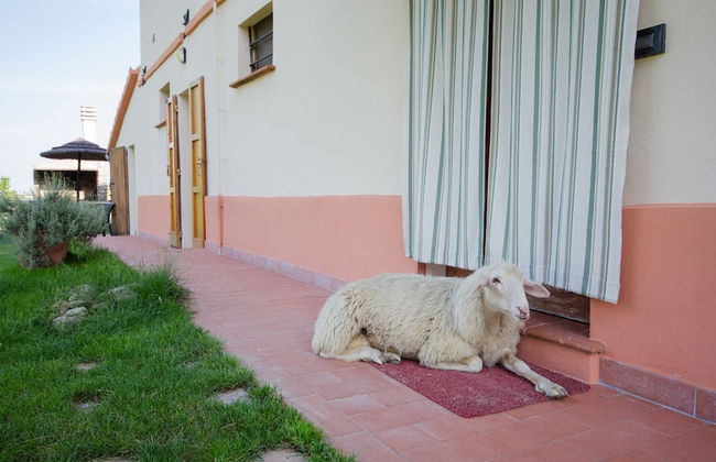 Agriturismo Ca' de' Gatti - Foto 76