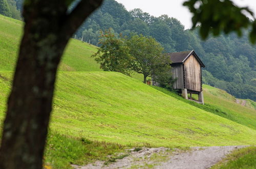 Photo 14 - Sunny Hillside Apartment in Mittersill near Public Transport