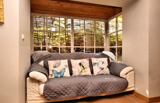 Ardennic Farmhouse for Groups - Foto 17