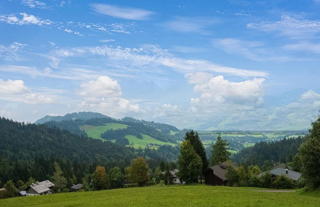 Chalet in Schwarzenberg Near Ski Lift - Foto 35