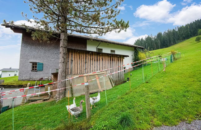 Chalet in Schwarzenberg Near Ski Lift - Foto 29
