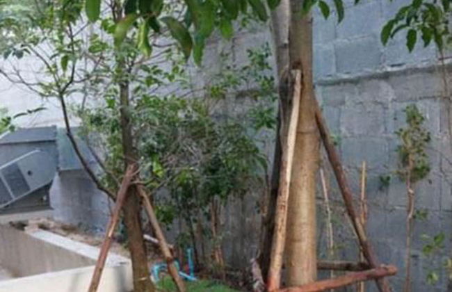 Avatar Residence - Foto 24