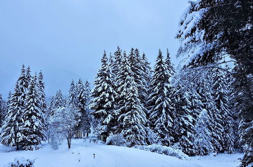 Photo 32 - Chalet in Hohentauern With Sauna and hot tub