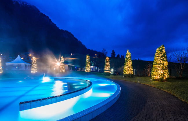 APART HOLIDAYS Morschach - Photo 10