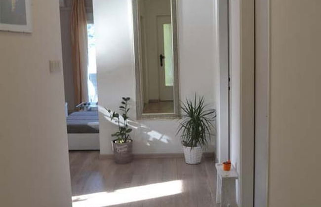 Apartments Gavacic - Foto 41