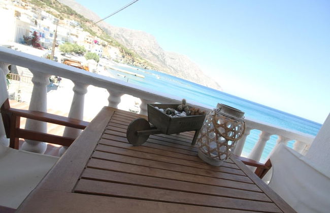 Maistrali - Photo 25
