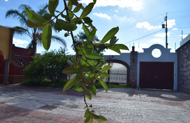 Casa Palmas - Foto 20