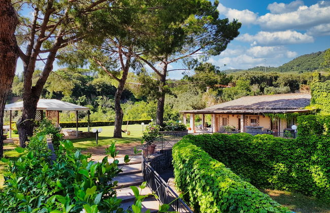 Le vigne - Foto 35