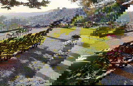 Le vigne - Foto 53